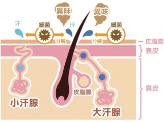 南京皮研所腋臭手术是否需要预约